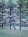 20101224130512.jpg